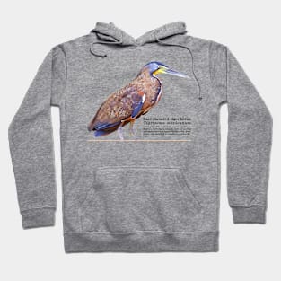 Bare-throated tiger heron tropical bird black text Hoodie